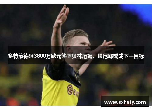 多特蒙德砸3800万欧元签下贝林厄姆，穆尼耶或成下一目标