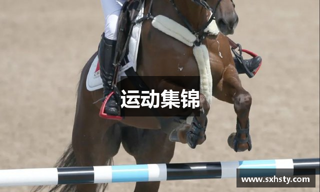 运动集锦